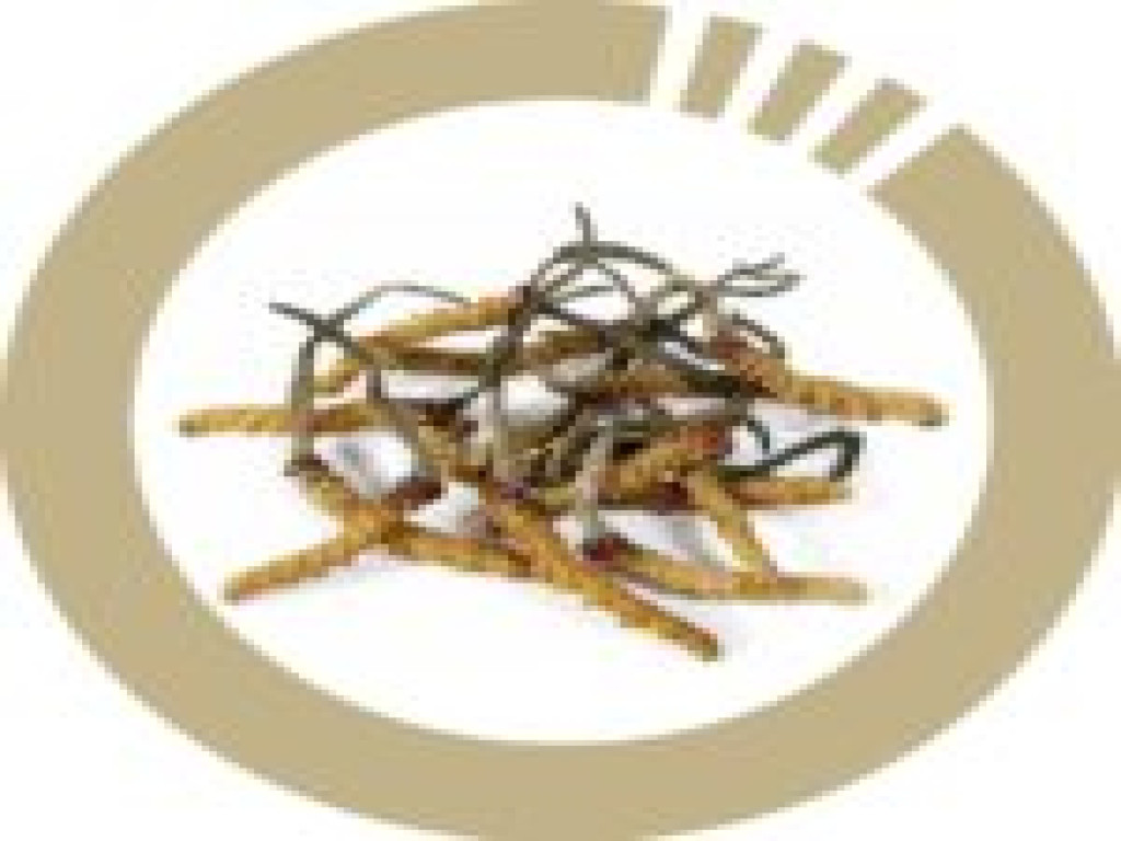 circle-cordyceps