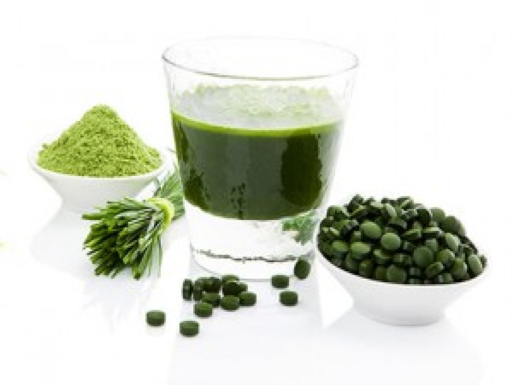 spirulina-alga