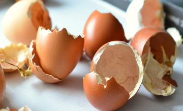 Ráncfeltöltő maszk tojásfehérjéből és gyömbérből