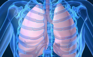 Meglepő tények a tüdőnkről