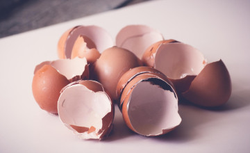 A tojáshéj felhasználásának 5 szokatlan módja