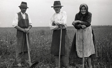 10 elfeledett szó! Hánynak tudod a jelentését?