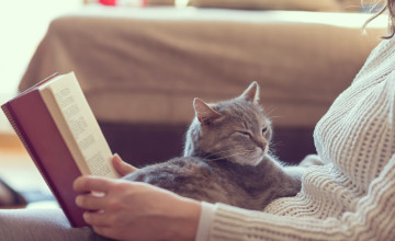 Tizenkét év után került elő egy családi nyaraláson eltűnt macska