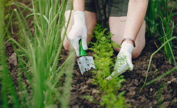 Sosem késő elkezdeni! Tippek a környezettudatos kertészkedéshez!
