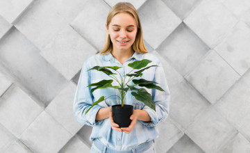 7 szobanövény, ami képes megtisztítani a beltéri levegőt a szennyeződésektől