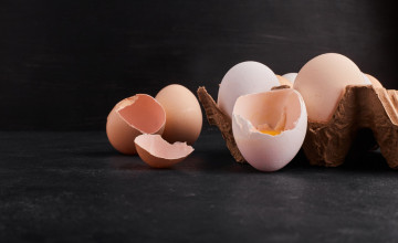 Módszerek a tojáshéj újrahasznosítására