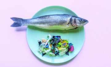 Már több mint 70 éve nyelik a halak a mikroműanyagot