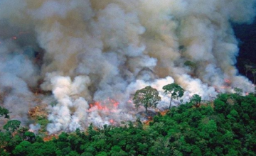 Gyorsan gyengül a trópusi erdők szén-dioxid-elnyelő képessége