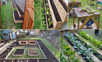 Remek ötletek kisméretű zöldséges kerthez