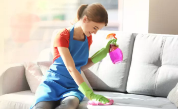 Bio-praktikák háziasszonyoknak - Bútorápolás, kárpittisztítás