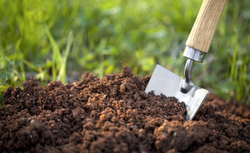 Mit számít a talaj?