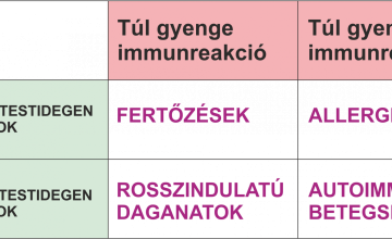 Az immunrendszer természetes erősítésének lehetőségei