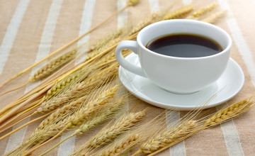 Ebből a gabonából készíts kávét magadnak! Koffein nélkül élénkít és hihetetlen gyógyhatásai vannak!