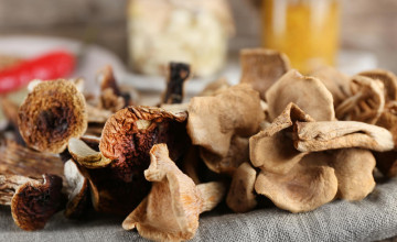 Gyógygombák: A természet kincsei az egészség megőrzésében