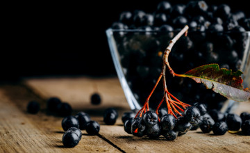 A fekete berkenye leve Dédi csódagyógyszere volt