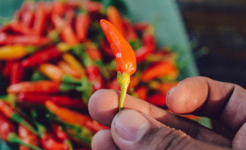 A chili természetes vércukorszint szabályozó hatása - új perspektívák a diabétesz megelőzésében