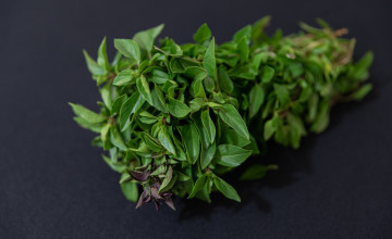 A csodálatos vad oregánó avagy magyarul szurokfű