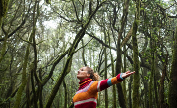 Tényleg pletykálnak a fák? Van egy erdő alatti "internet", a gombafonal-hálózat
