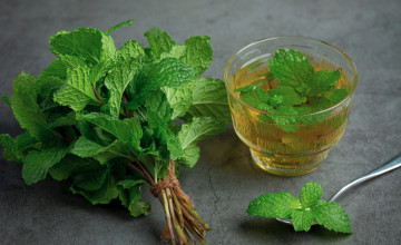 A citromfű jóval több, mint altatótea