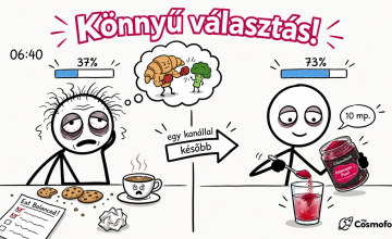 A kialvatlan ember tragikomédiája, avagy miért pont akkor kéne „kiegyensúlyozottan enni", amikor az agyad egy melegszendvics értelmi szintjén üzemel?