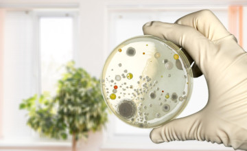 Tudod, hol található a legtöbbb baktérium a lakásban? Nem a mellékhelyiségben!