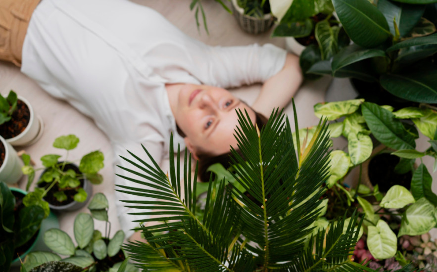 Így használd a növényeid rezgését tudatosan gyógyulásra, hangulatjavításra