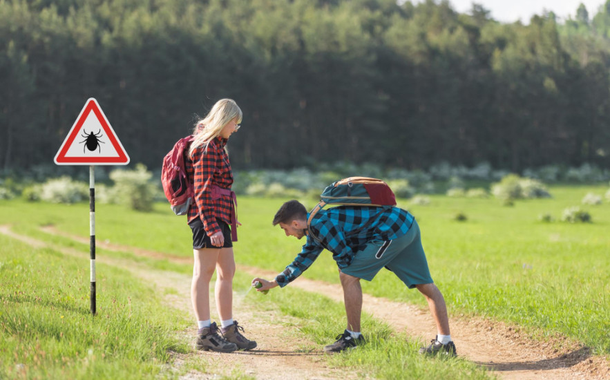 Ez az egyik leghatékonyabb természetes kullancsriasztó