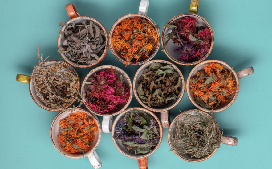 A természet patikája télen sem zár be