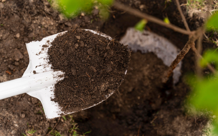 Hogyan mérd és állítsd be a talaj pH-ját vegyszer nélkül?