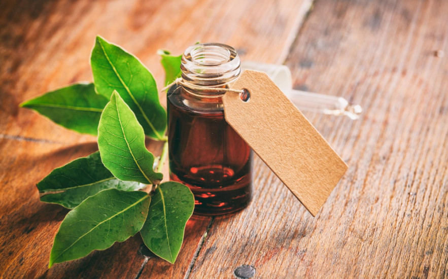 Házi babérolaj készítése: természetes segítség izomfájdalom és ízületi panaszok ellen