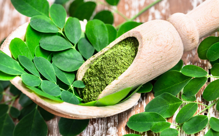 Moringa por hatásai és felhasználása – miért nevezik a világ legtápanyagdúsabb növényének?