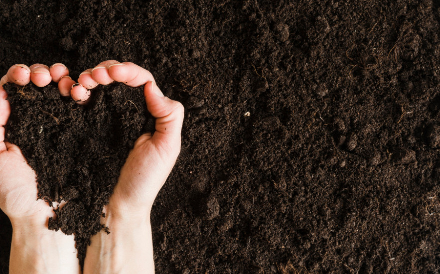 December 5. a Talaj Világnapja