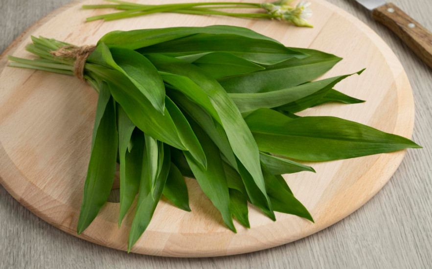 A medvehagyma méregtelenít és védi az ereinket, de csak ha nyersen fogyasztjuk!